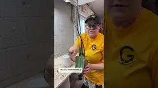How to Fix an Underwatered Orchid