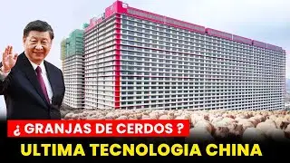 MODELO DE GRANJA DE CERDOS DE $4Mil Millones EN EDIFICIO DE 26 PISOS ¡Lo Último en Tecnología CHINA!