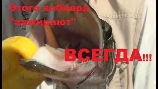Этого воблера 