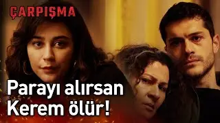 Herkes Diken Üstünde! - Çarpışma
