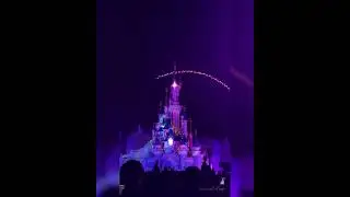 Disney D-Light ~ Full Show ~ Disneyland Paris 14/02/22