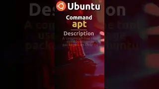 apt command | Ubuntu Server