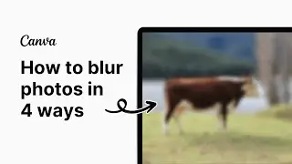 How To Blur Photos In Canva Without Photoshop 2024 [4 Insanely Easy Ways]