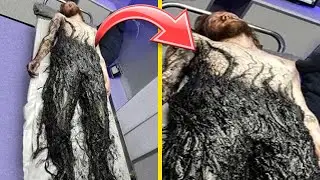 What They Discovered Frozen in Ice Shocked the Whole World