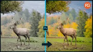 Just One Click Best Camera raw Effect In Photoshop cc 2020 || Photoshop Tutorial