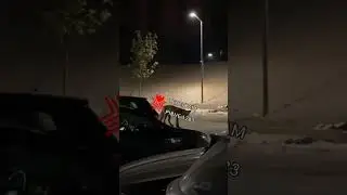 Лисиці у Рівному