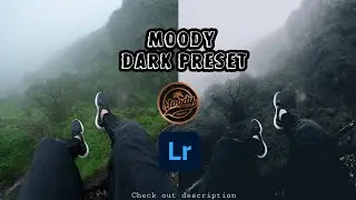 MOODY DARK PRESET | TRAVEL | IG | LIGHTROOM PRESET | themoodytone