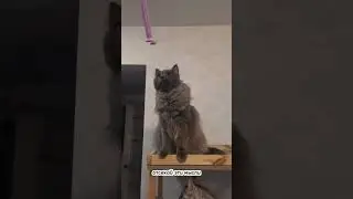 ПОСЛУШАЙ МЕНЯ, ЧЕЛОВЕК! 