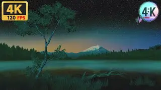 SCREENSAVER 4K | Night | 1 Hour Relaxing Music