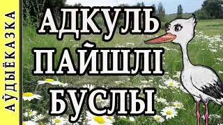Аўдыёказка. Адкуль пайшлі буслы. Паданне.