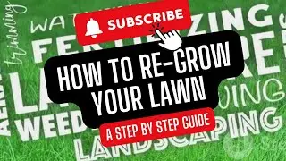 Revive Your Lawn | A Step-by-Step Guide to Regrowing Grass.