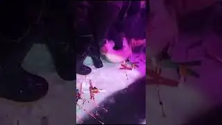 Поймали белугу на 50 кг