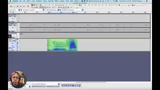 Audacity  Filters and Pitch Time shifts