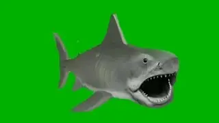 animated  JAWS the KILLER SHARK green screen HD