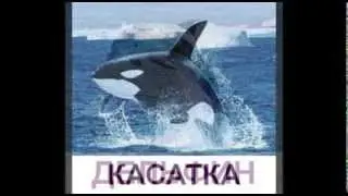 Развивающие презентации для детей 