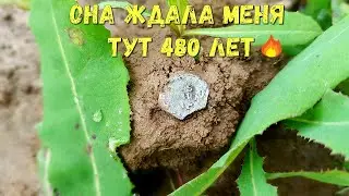 Поиск чешуи на распашке. Коп монет 2020 с Гаррет АТ Про