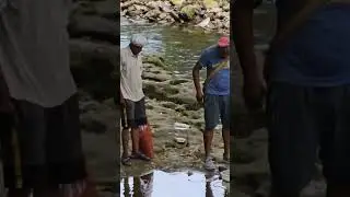 Гаванский лес, где снимали Тарзана и место жертвоприношений 