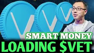 Vechain VET BREAKOUT ALERT: VeChain Next Move Could Shock Everyone (Price Analysis 2025)