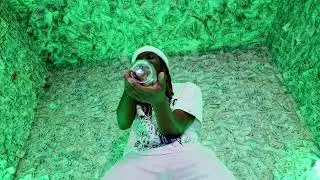 MJD - K.T.W.K (Official Music Video)