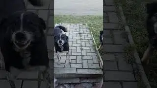 Катадычь и его чвк!)