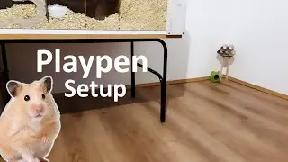 Set up a Playpen with Me
