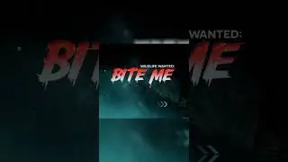 Warzone Season 5 Bundle Shopping🎁