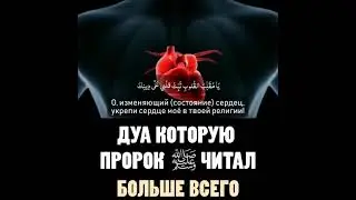 ДУА Которую Пророк Мухаммад ( с а в ) Читал Больше Всего 20 мая 2021 г.
