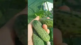 КРАСАВЧИК во ВСЕМ!!!