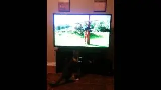 Cat trys to protect Johnny Knoxville from a K9