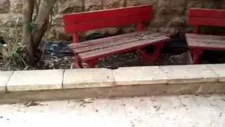 Garden apartment for sale in Talbie, Jerusalem. Apartments Israel LTD 02.650.8008