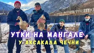 Operation Duck. At the Chechen aksakal.