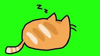 ✔️GREEN SCREEN EFFECTS: cat sleeping