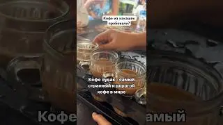 Кофе из какашек пробовали ? #бали #кофелювак #кофебали  #нумеролог