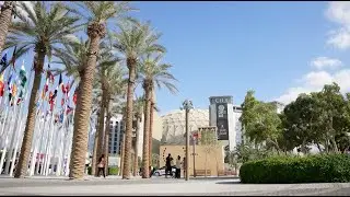 COP28: non-State actors solutions after World Climate Action Summit