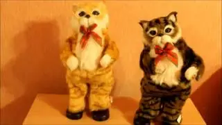 Весёлый танцующий котик