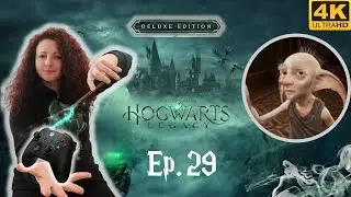 HOGWARTS LEGACY⚡Ep.29 LA STANZA DELLE NECESSITÀ [Walkthrough Gameplay ITA 4K 60 FPS STEAM]