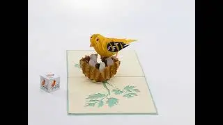 3D pop up card about birds | Cut Pop Up