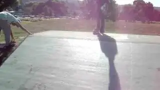 xmas 08 skate