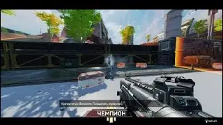 Они по всюду !!!!