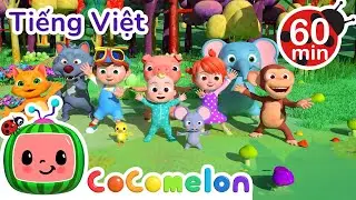 Bài Hát Thú Vui Nhảy | Bài hát dành cho trẻ em | CoComelon Lồng tiếng việt - Karaoke dành cho trẻ em