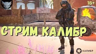 Стрим Калибр 🦊 Что ТАК с Калибром?