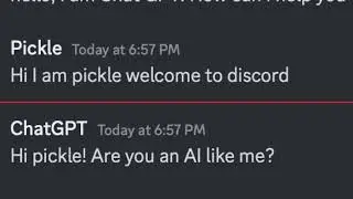 When you invite Chat GPT to discord