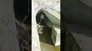 как мы ездили на 