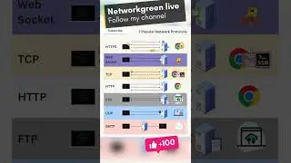7 Popular Network Protocols | Networkgreenlive