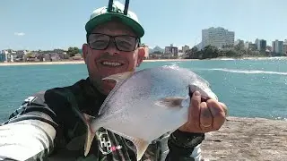 saiu PAMPO bom nessa pescaria de cóstao.
