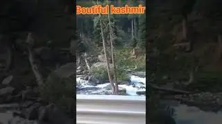 kashmir