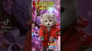 #shortvideo #youtube