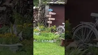 А что ищешь ты?
