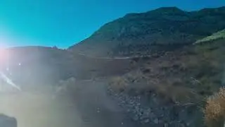 Эх дорога!