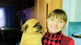 ПОЕХАЛИ ПОКУПАТЬ ОДНО, КУПИЛИ ДРУГОЕ. БУДНИ ИЗ ГОРОДА В ДЕРЕВНЮ  Сер№118